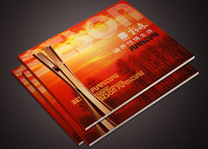 東莞產(chǎn)品目錄印盧總 專業(yè)廣告設(shè)計(jì)，打造卓越商業(yè)形象